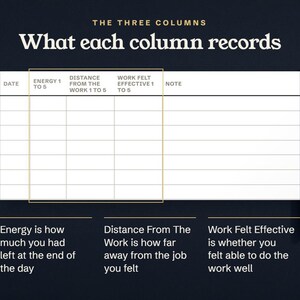 What each column records