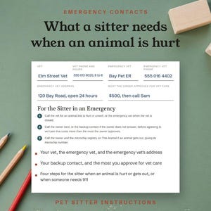 What a sitter needs when an animal is hurt