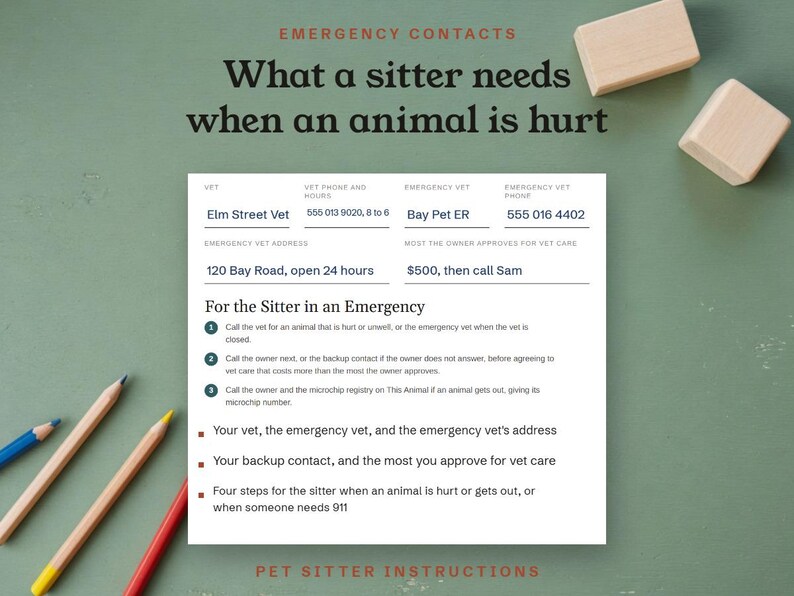 What a sitter needs when an animal is hurt