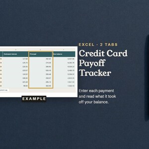 Credit Card Payoff Tracker, an Excel spreadsheet that works out the interest and principal of each card payment, with an example Payment Log