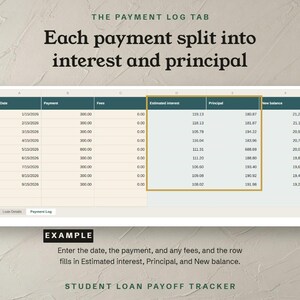 The Payment Log tab, each payment split into interest and principal, shown as an example