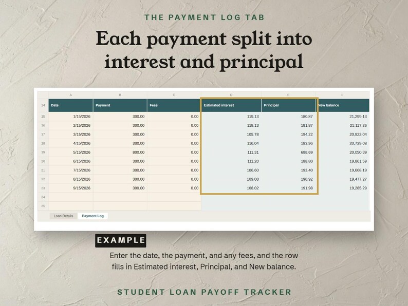 The Payment Log tab, each payment split into interest and principal, shown as an example