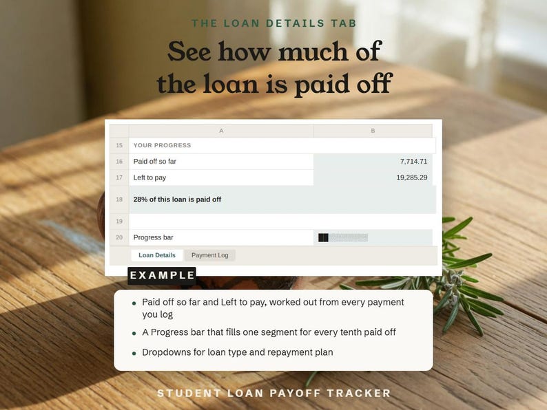 The Loan Details tab, with Paid off so far, Left to pay, and the Progress bar, shown as an example