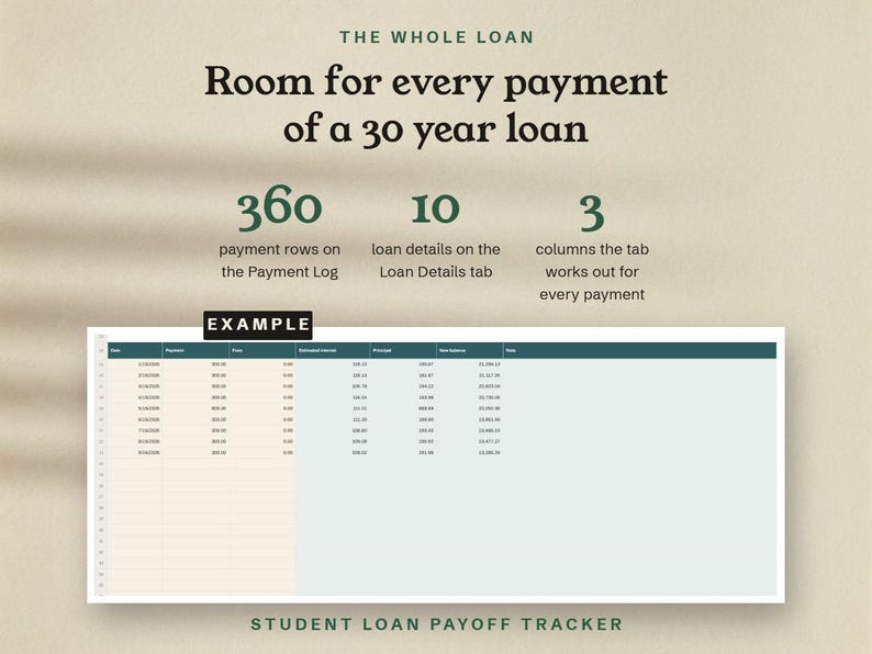 The whole loan, room for 360 payments on the Payment Log, shown as an example