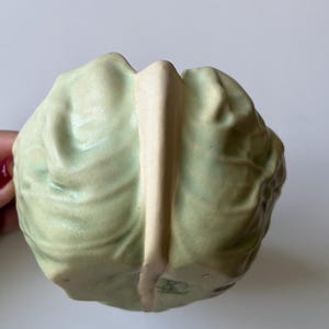 May include: A ceramic cabbage-shaped bowl or container featuring a pale green, textured surface that mimics the appearance of layered leaves. A prominent, smooth, light beige vertical ridge runs down the center, dividing the leafy sections.