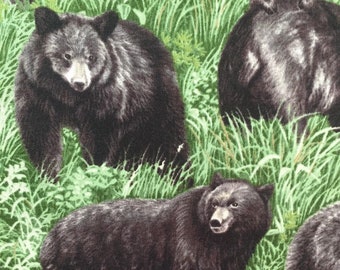 Black Bears on green grass