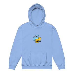 Cool Python Coding Hoodie for Kids, Python Programmer Hoodie, Coding Hoodie, STEM Hoodie, Computer Science Gift, Coder Gift for Kids