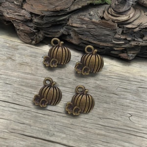 12 Tiny Bronze Pumpkin Charms With Leaves Double Sided Flattened Mini Fall Pumpkins Charm Jewelry Supplies 11x11mm