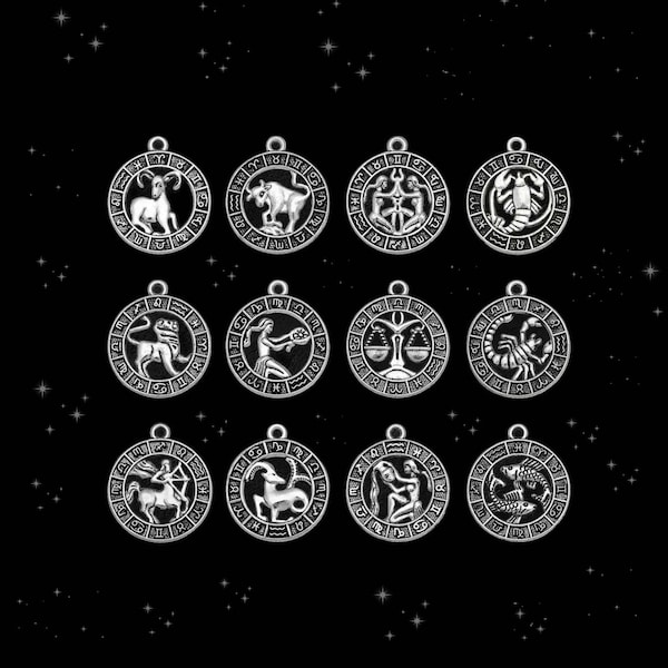 2 Zodiac Charms or Complete Set of Constellation Charms Antique Silver Zodiac Astrology Charms Astrological Charms Jewelry Supplies 25x21mm