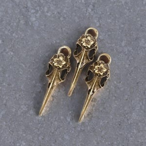 3 BIRD SKULL Pendants Rusric Bronze Tone Long Beaked Flower Skulls Gothic Charm Jewelry Supplies 41x13x11 mm image 6