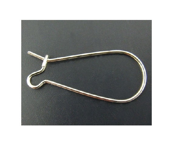 Kidney Ear Wire 33x22mm Surgical Stainless Steel (10-Pcs)