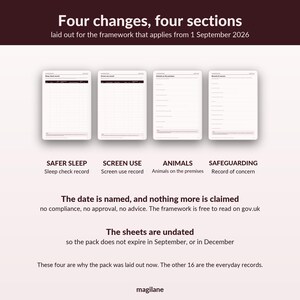Childminder Paperwork EYFS Records - 20 numbered sheets, register, accident, sleep, medication, A4 image 5