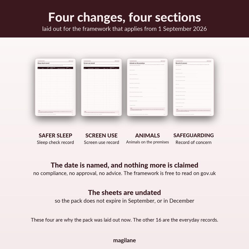 Childminder Paperwork EYFS Records - 20 numbered sheets, register, accident, sleep, medication, A4 image 5