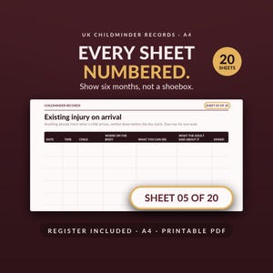 Childminder Paperwork EYFS Records - 20 numbered sheets, register, accident, sleep, medication, A4 image 1