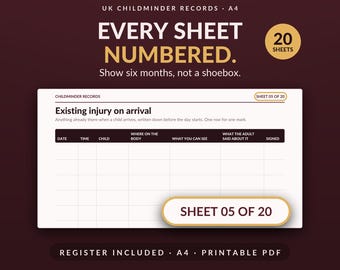 Childminder Paperwork EYFS Records - 20 numbered sheets, register, accident, sleep, medication, A4