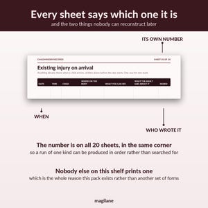 Childminder Paperwork EYFS Records - 20 numbered sheets, register, accident, sleep, medication, A4 image 3
