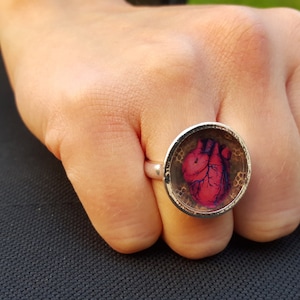 Fine Art Ring - Anatomical Heart with Bee and Honeycomb