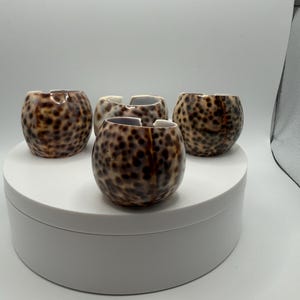 May include: Four rounded, hollowed-out cowrie shells featuring a natural glossy finish with a pattern of dark brown to black spots against a tan background. Each shell has a wide, open slit along the top, revealing a smooth, white interior surface.