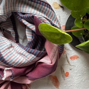 May include: Close-up of a folded, striped fabric in shades of red, white, and blue. The fabric appears to be a shirt or scarf, with a visible collar. A green plant with round leaves is in the background.
