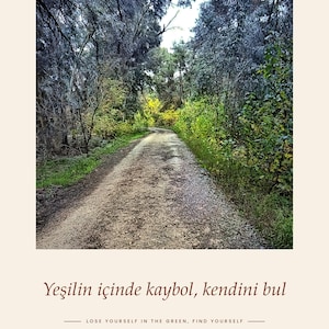 Puede incluir: Un p&oacute;ster rectangular que muestra un sendero de grava a trav&eacute;s de un bosque denso con follaje verde y amarillo. El texto dice YAŞAR KEMAL Y&Uuml;R&Uuml;Y&Uuml;Ş PARKURU ADANA en la parte superior y Yeşilin i&ccedil;inde kaybol, kendini bul con traducci&oacute;n.