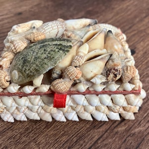 May include: A rectangular box covered in various small white, tan, and brown seashells. The lid features a large, mottled green and grey shell as a focal point. A small red ribbon tab is attached to the front edge of the lid for opening.