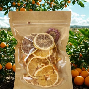 May include: A stand-up pouch with a clear front window containing several dehydrated citrus slices. The packaging is made of light brown kraft paper and features a resealable zipper top. The dried fruit slices are visible through the plastic.