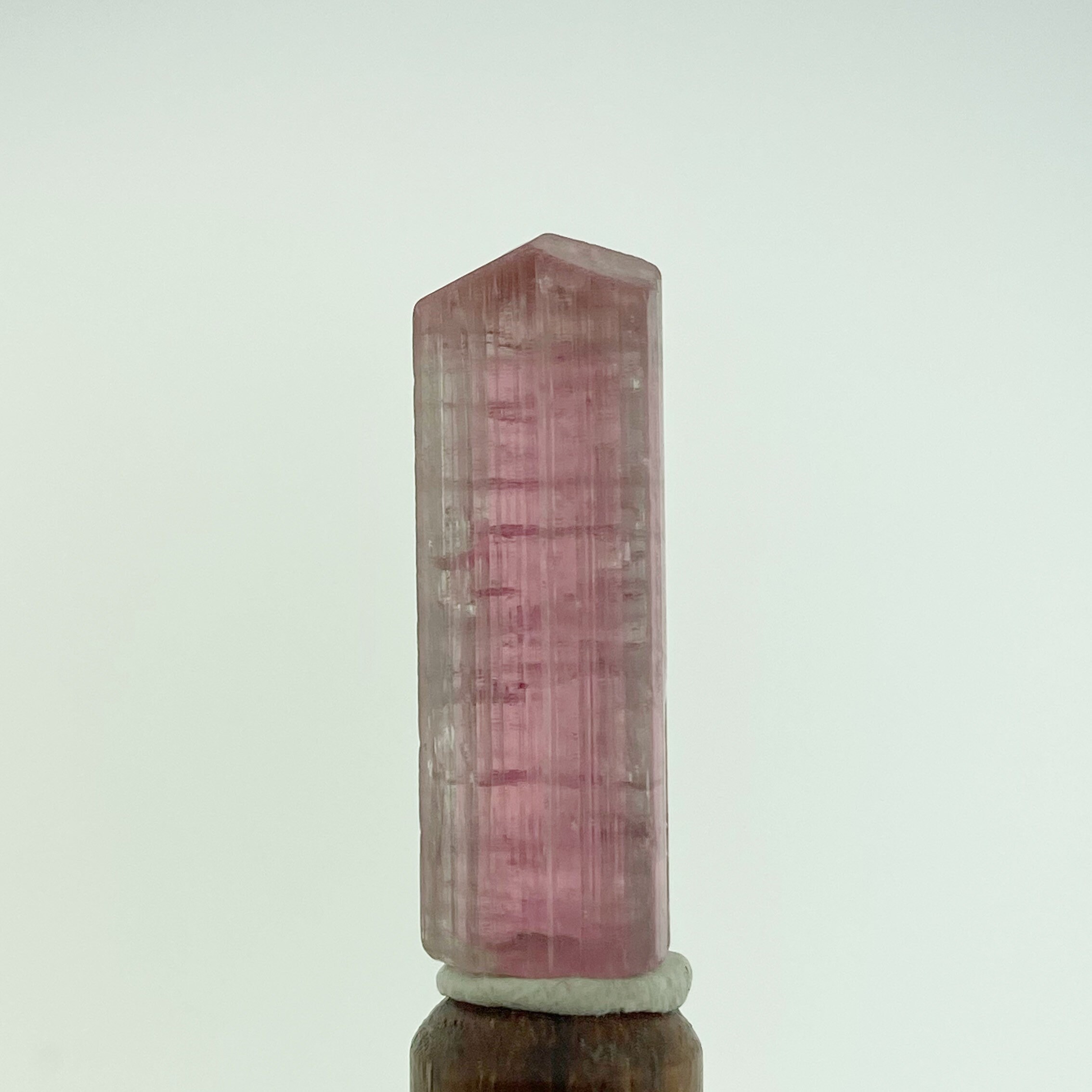 Minas Gerais Brazil TL0726 Pink Cap Bicolor Tourmaline Terminated Crystal from The Aqua Branca Mine