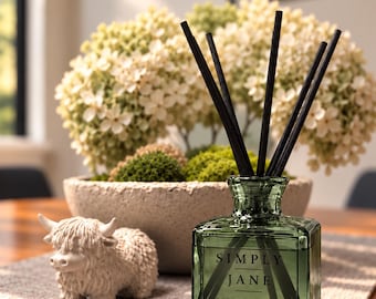 Diffuseur de parfum d'agrumes | Parfum de fruits frais, décoration minimaliste
