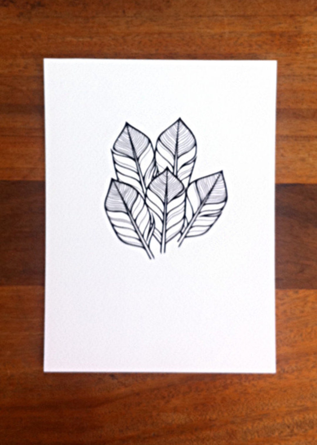 Hand Drawn Feathers Illustration 'little Sprig' Modern Feathers Art ...