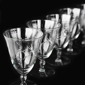 Antik Blumen Gläser | Vintage 40er Jahre Mundgeblasene geätzte Trinkgläser | Champagner Hochzeit Barware Gläser 5