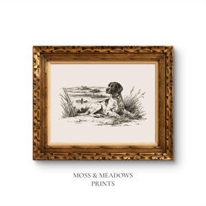 Op de afbeelding: Een zwart-wit inktillustratie van een jachthond die in hoog gras bij een vijver met eenden ligt, gevat in een sierlijke gouden lijst. Onder het ingelijste kunstwerk staat de tekst MOSS & MEADOWS PRINTS in een eenvoudig zwart lettertype.