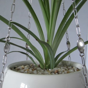 Twisted Oval Charm Stainless Steel Plant Hanger, Hanging Plant Shelf, Chain Plant Hanger