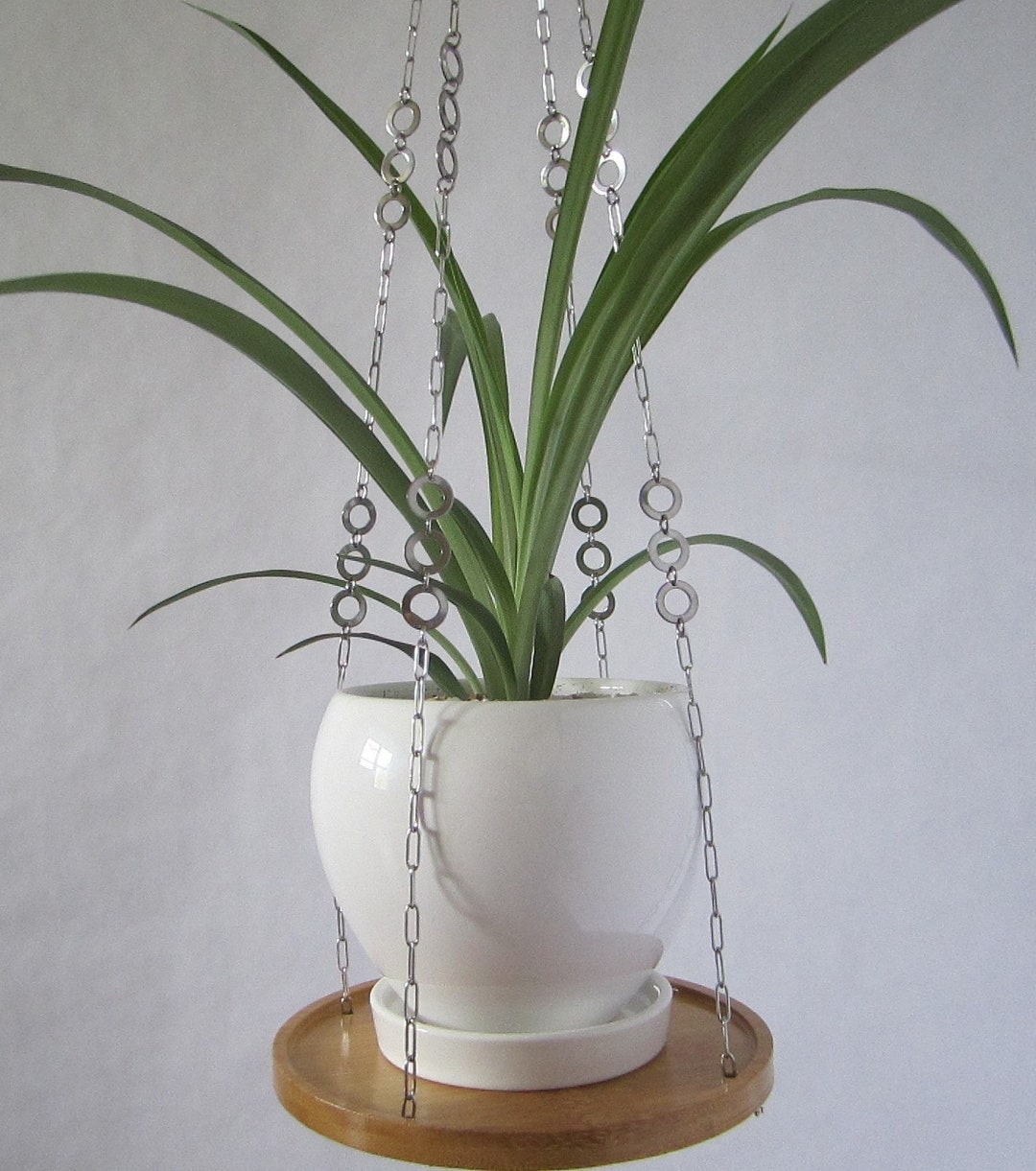 Circle Charm Stainless Steel Plant Hanger, Hanging Plant Shelf Etsy