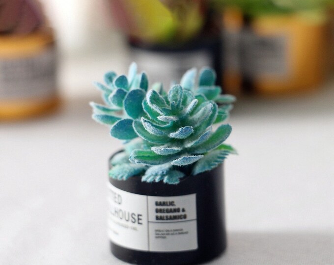 Dollhouse Miniature Resin Succulents Pot Model, Moss Micro Landscape Decoration