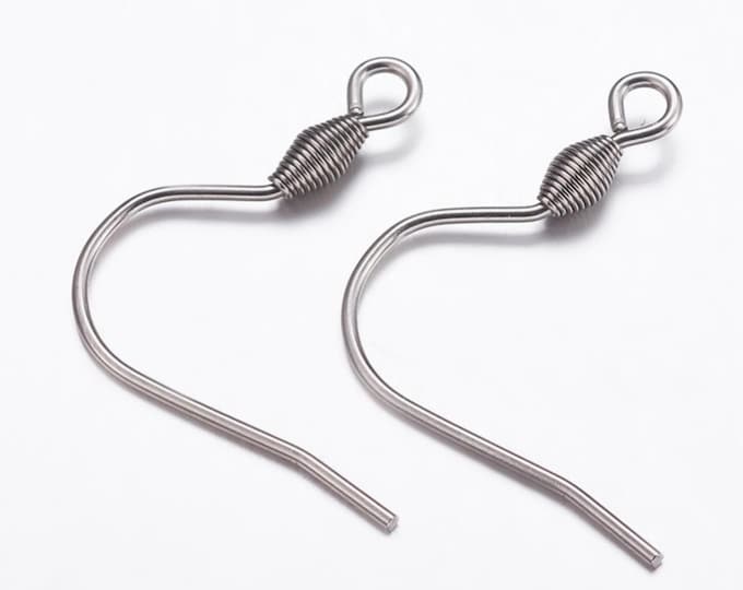 12pcs (6 Pairs) 304 Stainless Steel Small Earring Hooks - Hypoallergenic French Wire Findings