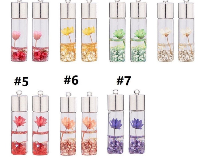 2pc Tube Style Transparent Glass Bottle Pendants, with dry flower inside -LL1157