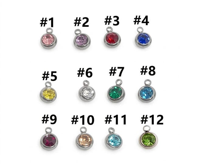 6PC  Stainless Steel Rhinestone Charms, Birthstone charms-pls pick a color
