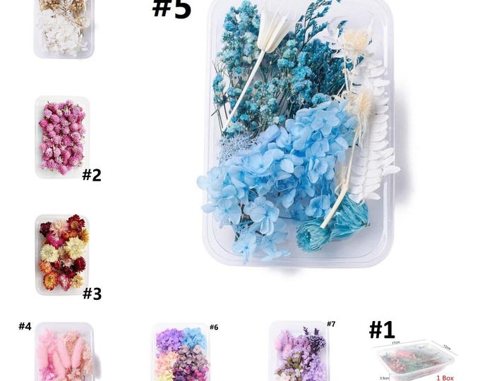 Colorful Real Dried Flowers for Resin Art – Aromatherapy Candle, Epoxy Jewelry Making, DIY Pendant Necklace Craft Supplies (1 Box)