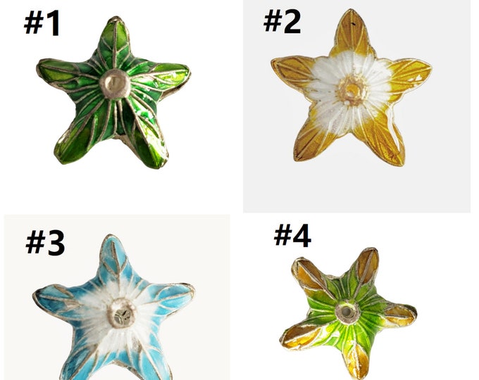 Pair of Elegant 19mm Cloisonné Star Beads - Choose Your Favorite Color for Stunning Accents!