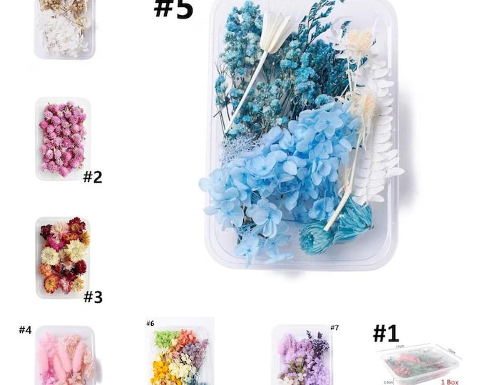 Colorful Real Dried Flowers for Resin Art – Aromatherapy Candle, Epoxy Jewelry Making, DIY Pendant Necklace Craft Supplies (1 Box)