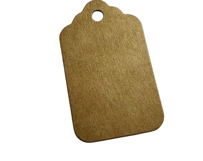 100pc Paper Blank Tags, Hange Tags for Arts and Crafts, 1.96 inches x 1.18 inches