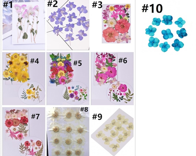 1 pack Dried Pressed Real Flowers dried flowers in Vacuum drying package- fo11-pls pick a pattern