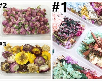 1 Box Colorful Real Dried Flower Plant For Aromatherapy Candle Epoxy Resin Pendant Necklace Jewelry Making DIY Craft -pls pick