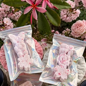 Pixie Fizzies / Vaporizadores de ducha con aceites esenciales de forma personalizada
