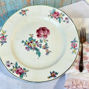 Vintage W.S. George Argosy lunchtallrik, blommig porslinstallrik, Cottagecore-dekor, tebjudningstallrik, vintage porslin