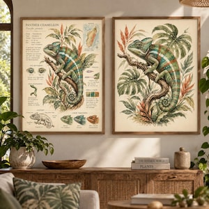 May include: Two framed wall art prints featuring a Panther Chameleon. The left print includes scientific text, a map of Madagascar, and anatomical diagrams. The right print displays a detailed illustration of a green chameleon on a branch.