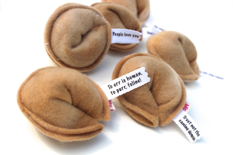 Cat Fortune Cookies Gift for New Cat Catnip Toys Organic Catnip Cat Toys Fortune Cookies Gift For Pet Lover image 5