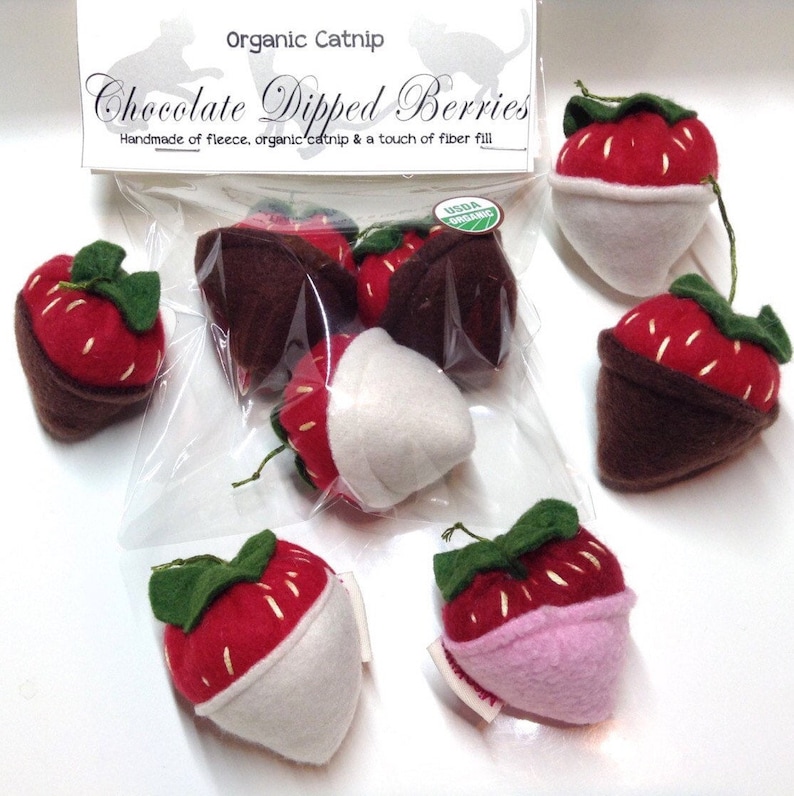 Catnip Strawberry Toys for Cats Catnip Strawberries Cat Etsy