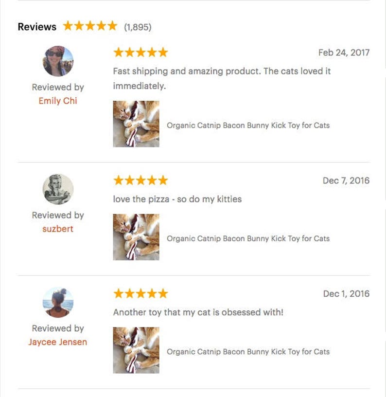 Catnip Bacon Cat Toy Bacon Cat Toy Organic Catnip Toy Etsy