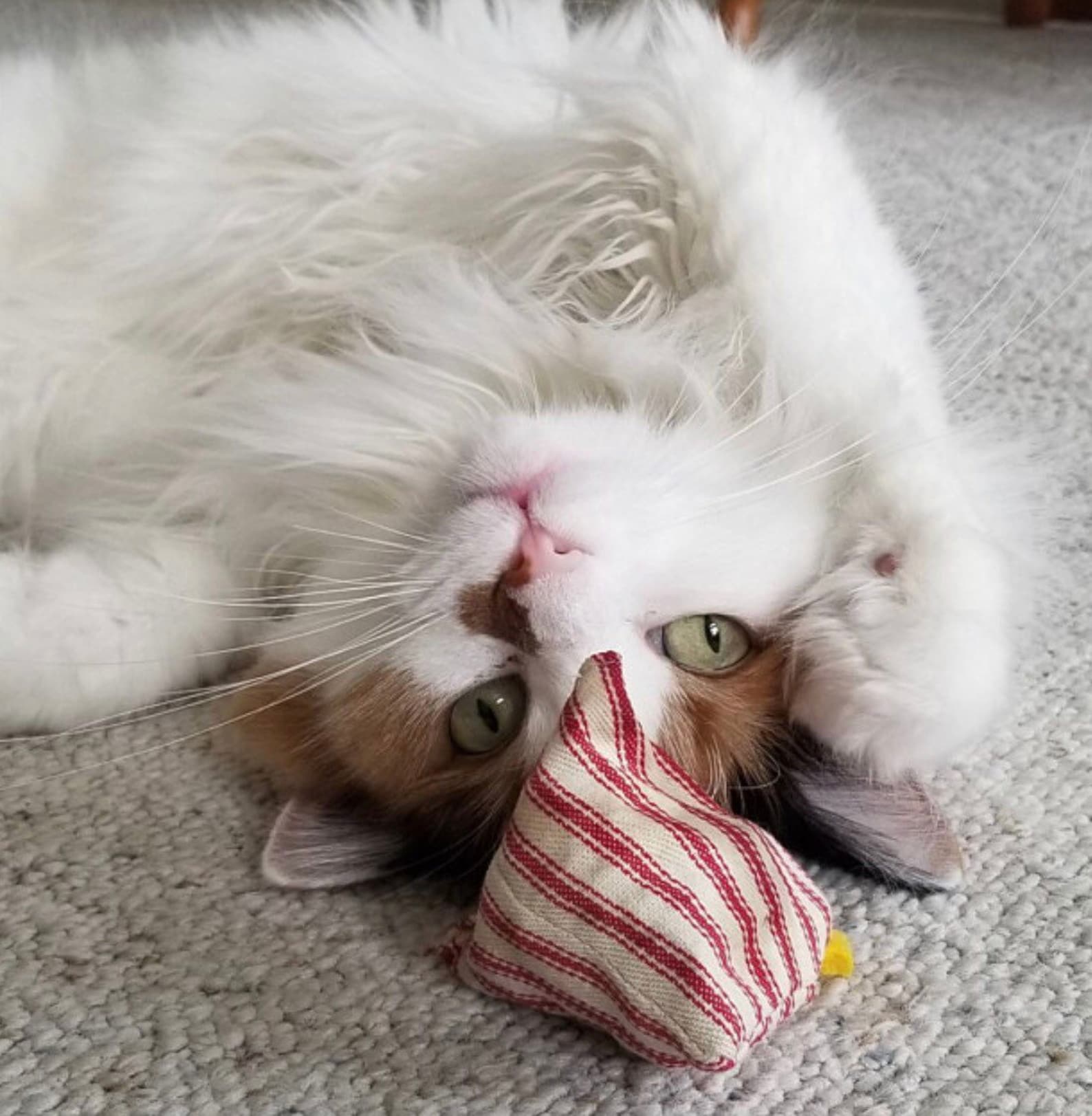 Cat Toys Catnip Chickens Organic Catnip Toys Chicken Cat Etsy